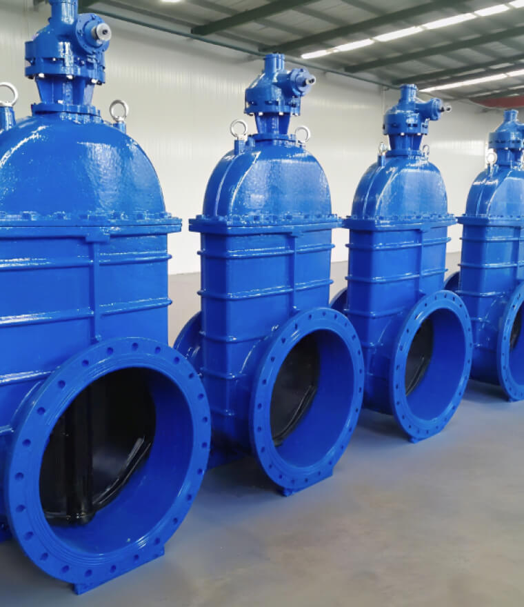 Gate Valve